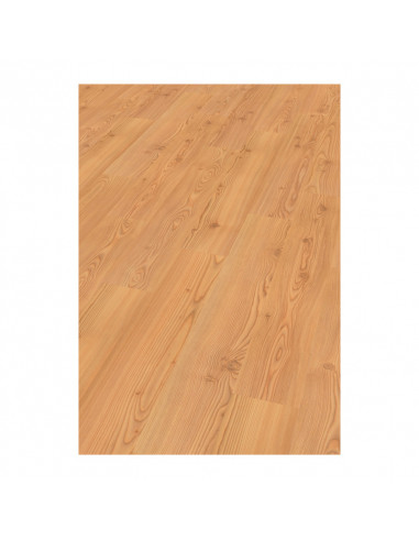 Finfloor Exitus Pinho Lima